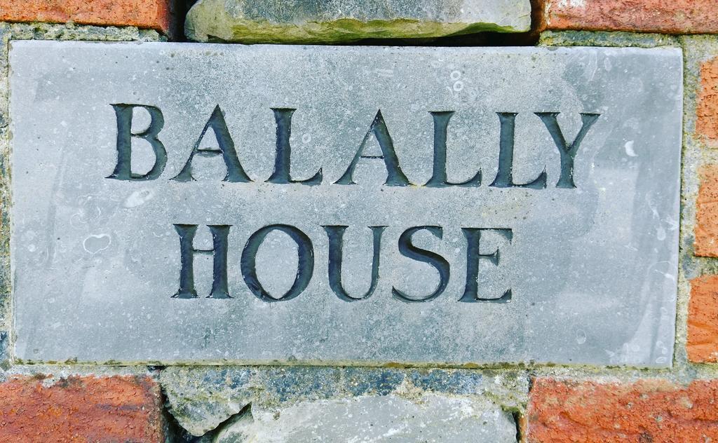 Balally House Bed & Breakfast Shannon Exterior foto